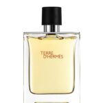 Terre D Erkek Parfüm 100ml Edt